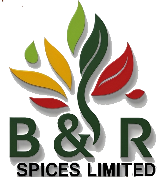 BandRlogo